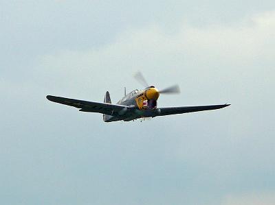 p40_kittyhawk_06 