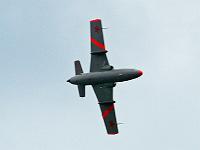 l29_delphin_01 