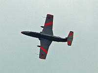 l29_delphin_02 