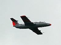 l29_delphin_03 
