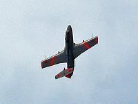 l29_delphin_04 