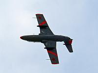 l29_delphin_06 