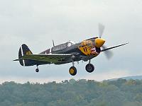 p40_kittyhawk_05 