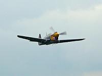 p40_kittyhawk_06 