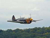 p40_kittyhawk_07 