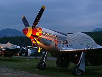 p51_mustang_03 