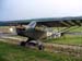 piper01