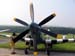 spitfire_01