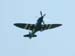 spitfire_06