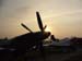 spitfire_10