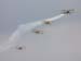 stearman01