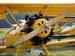 stearman02