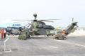 ila2010_ec_tiger_001