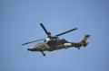 ila2010_ec_tiger_009