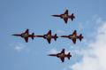 ila2010_f5_tiger_019