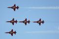 ila2010_f5_tiger_026