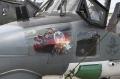 ila2010_sealynx_001