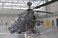 IMG_7812